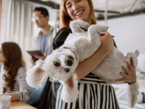 Navigating Washington Pet Insurance Law: A Comprehensive Guide
